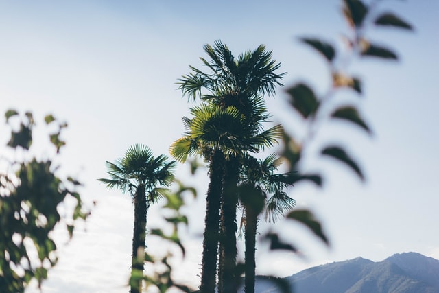 Chính sách quyền riêng tư 2 fabian enzensperger JPvJrNqtzJU unsplash