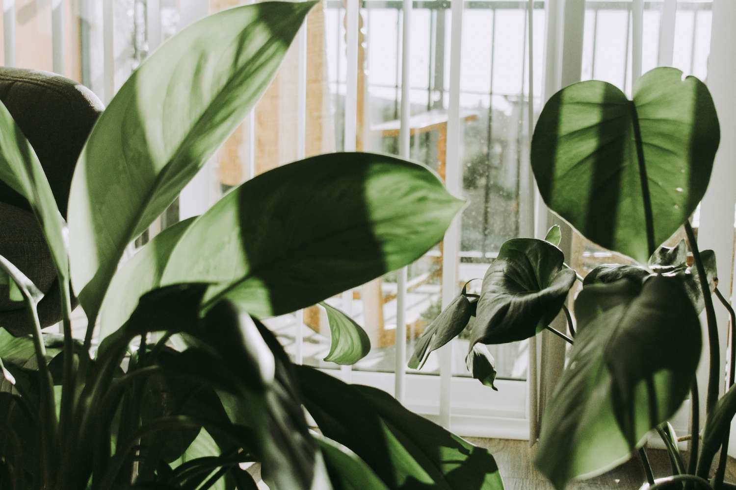 Chính sách quyền riêng tư 1 megan nixon Y8QaAdT4Msk unsplash